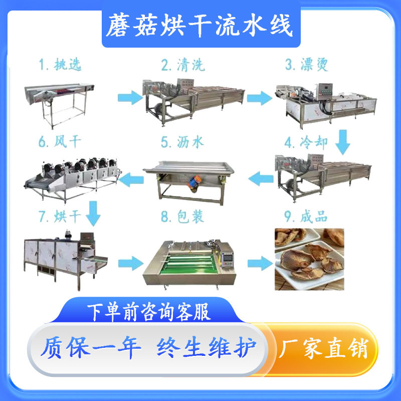 蘑菇烘干流水线全套设备食堂黄瓜气泡清洗机豆角高压气泡清洗设备