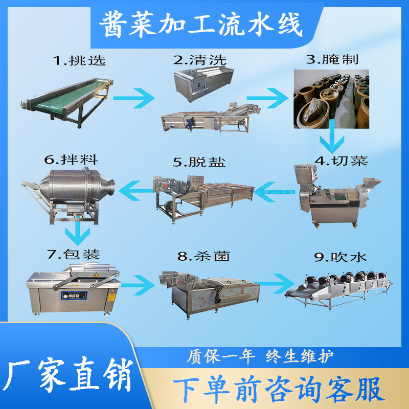 酱菜加工流水线全套设备上海青小油菜气泡清洗机商用全自动洗菜机