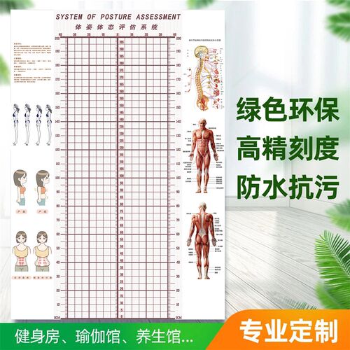 瑜伽馆体态评估i表定制墙纸壁纸人体测图墙布私教健身房壁画