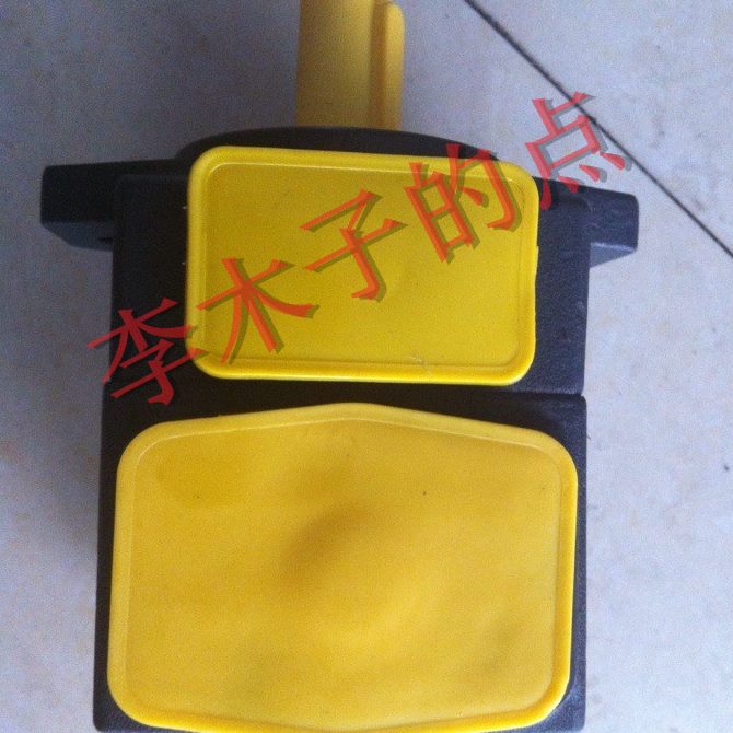 /14/1V2 /R凯斯特12310-ER25P叶片泵KEST//19R281312IF/-7//
