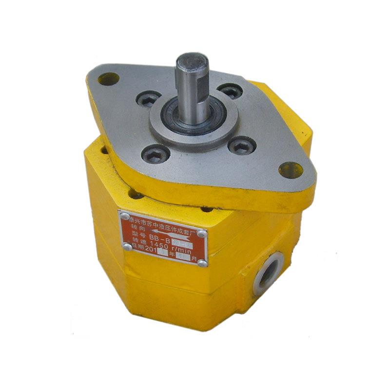 BBB-B10-DB-B4Nbb-b6Nb-b1-D(A)带耳0朵摆b线齿轮油泵内轴式电机