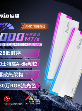 佰维DW100时空行者DDR5台式机内存条16*2套装 C28适配AMD电竞灯条