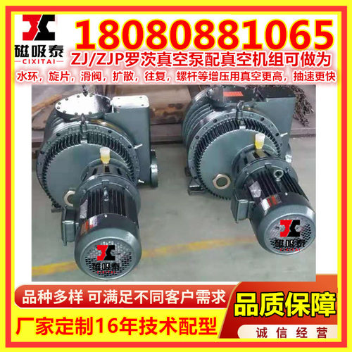 ZJ/ZJP2500罗茨真空泵15/22KW罗茨泵真空浸渍周口2500L/S真空机组
