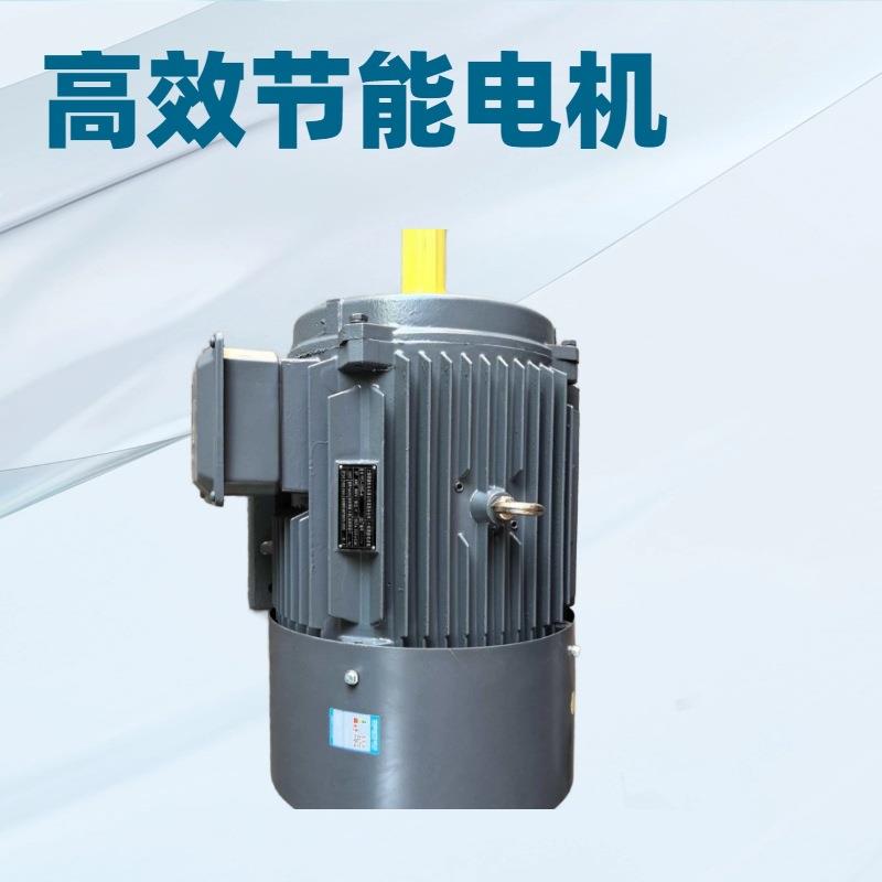 YE2YE4Y2YYE3-280M-6-55W6极三相电机三相异步电动机电机