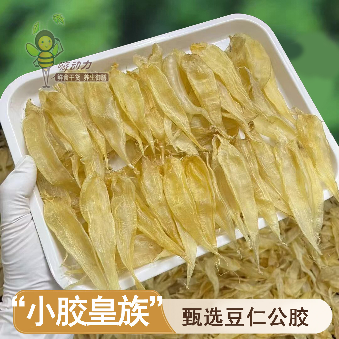 嗨动力豆仁胶公肚小孩胶干货