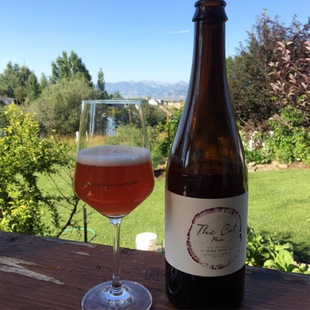 凯西啤酒副计划合酿 幸运/薛定谔的时间/甄选系列 精酿啤酒