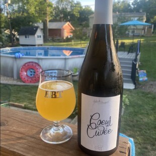 副计划 匠心珍藏/单螺纹/红与黑的共鸣/再见/大北方塞松