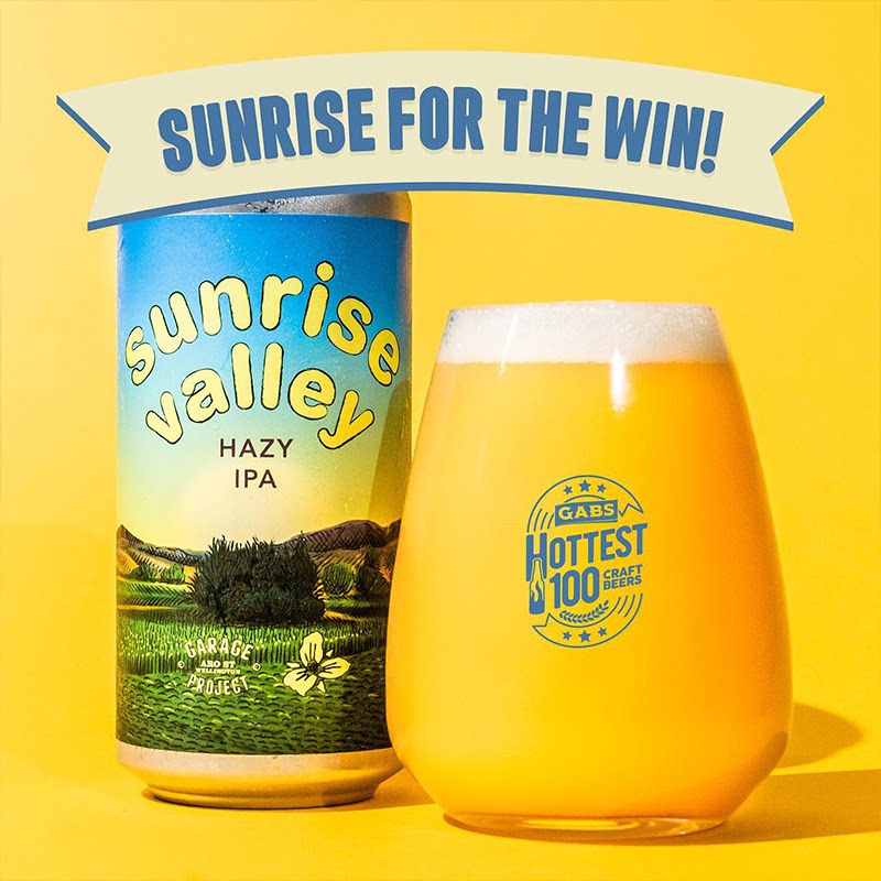 新西兰车库计划 25年新日出山谷/绿色狂热/欲望之路 精酿啤酒