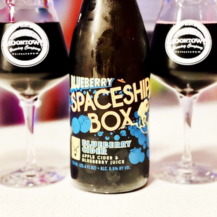 美国 迷信 新款 飞船盒子 蓝莓味 苹果酒 Mead 精酿啤酒