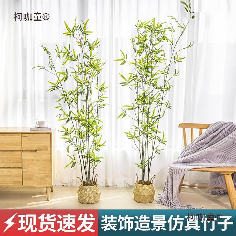 竹子装室内饰假子隔断竹屏风挡墙造景室外装竹饰盆柯咖童栽加密绿