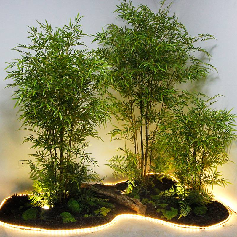 落地竹子盆栽样板房室内装饰隔断植物庭院橱窗中式禅意造景