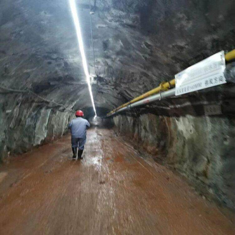 led灯带明12436v220v0v0米戶外防216水工地下室隧道养殖场照灯条