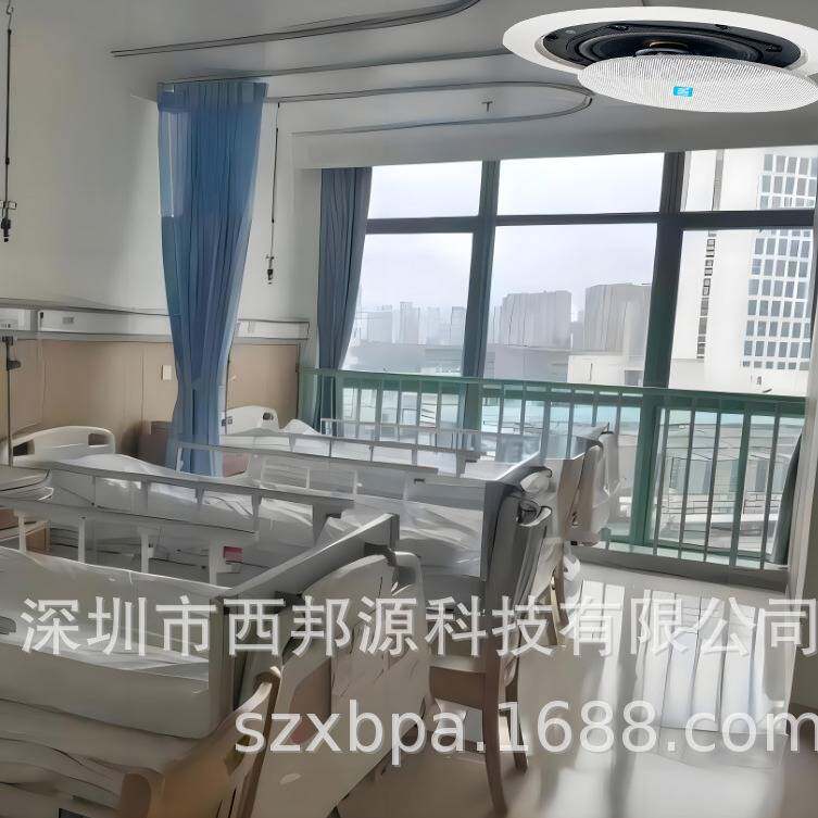 5/6/8寸同轴高音IP网络对讲吸顶音箱/IP对讲喇叭/IP对讲音响价格