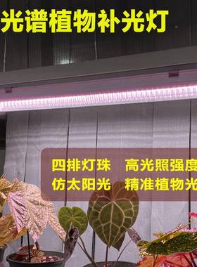 全光谱T20NUF植物灯管育苗生灯长四排LD室内多家用花E卉上色肉补