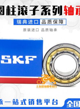 进口减速机轴承 RN205 206 219 222 228 307 308 309 312 328M