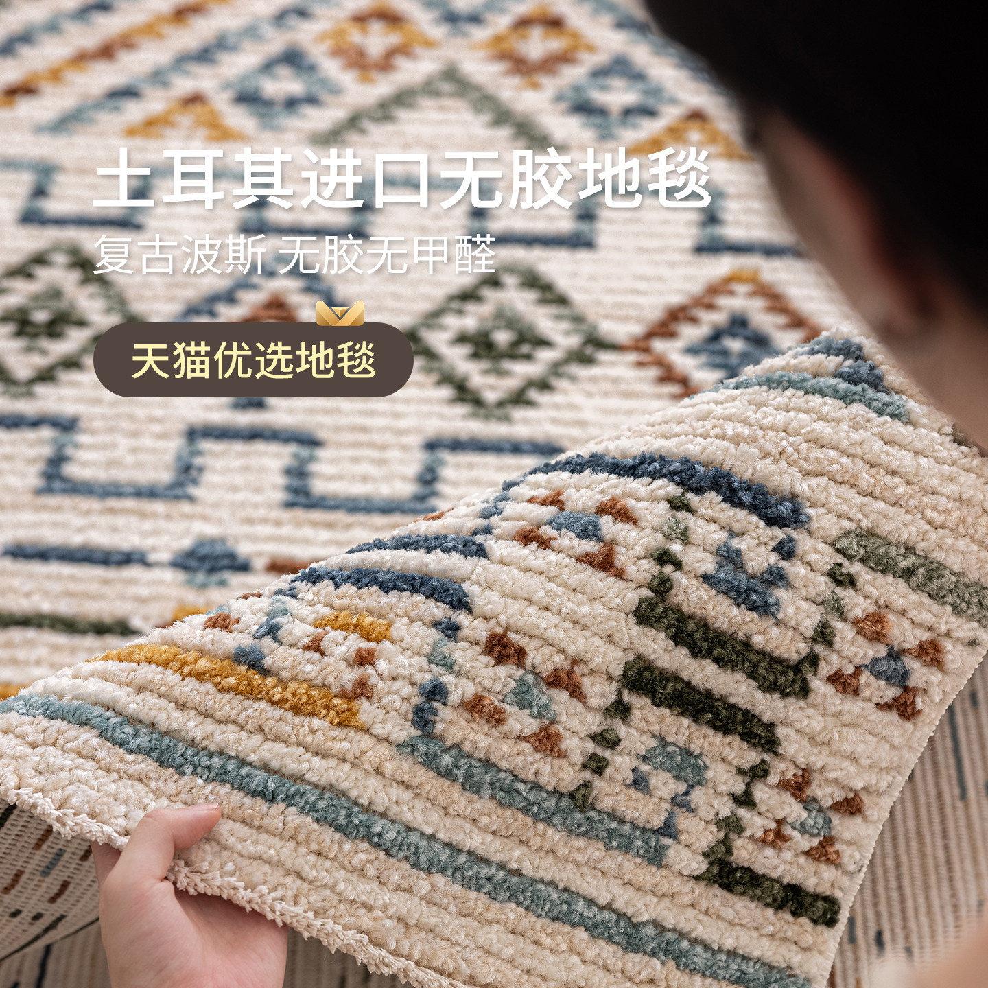 土耳其进口波斯复古风地毯无胶无甲醛高级感客厅卧室民宿机织地毯