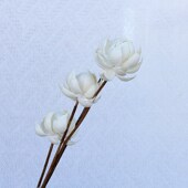 手工花宝莲灯干花木片花真花花瓣手工花艺家居摆件插花花束材料