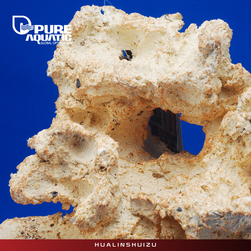 P牌造景石 生态培菌造景石 海水鱼缸造景石造型石小缸造景 免爆藻