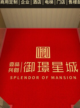 电梯轿厢地垫酒店入户迎宾门口专用丝圈耐磨防滑星期S地毯定制log