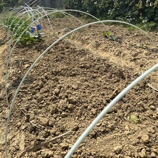 小栱棚玻纤杆,支架,玻璃纤维棒,大栱棚支P架,扶苗杆,锚固棒