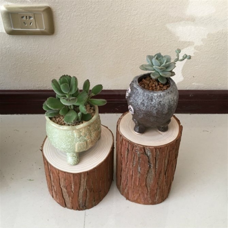 小木桩杉树壁炉摆放装饰木柴原木摆件拍摄道具装饰木头圆木桩围栏