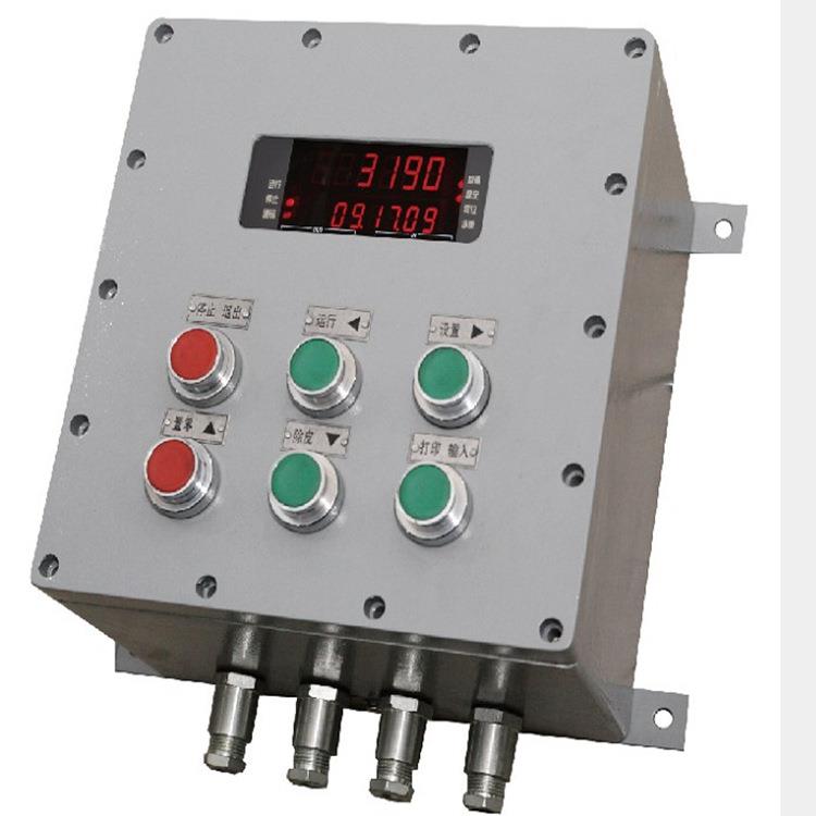 防爆仪表XK3190-Ex-C8G隔爆型称重显示器RS485输出防爆仪表