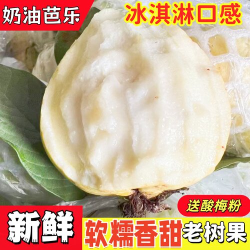 广西白心芭乐软糯冰淇淋口感老树