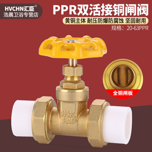 黄铜20PPR管阀门双活接热熔止水