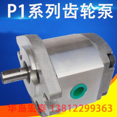 齿轮泵 P105RP01G P106RP01G P107RP01G P108RP01G P109RP01G GT
