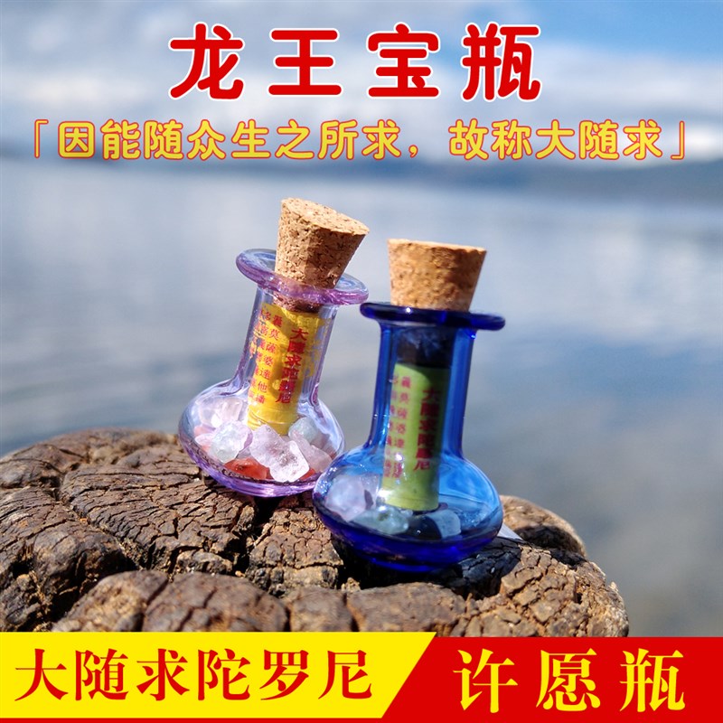 大随求陀罗尼许愿瓶玛尼石结缘龙王宝瓶坛城放生水解脱Z幸运漂流