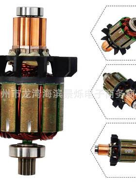 619263-3 619287-9 电枢转子用于 DDF456 1/2