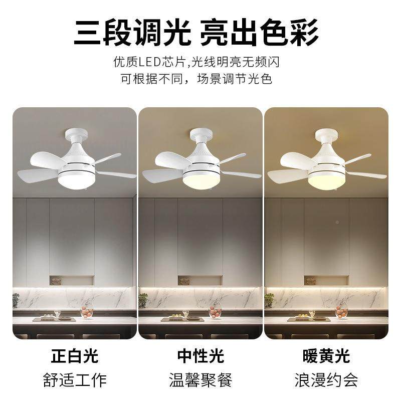 跨境新吸顶款风扇灯餐极简卧室客46厅厅扇风叶可拆卸灯扇一体吊扇