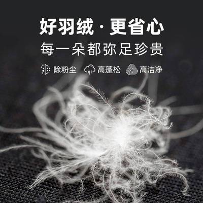 国标羽绒厂家 白鹅绒95鹅纯白服装标准电商检90鹅绒填充物散装