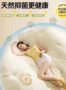 2025新款被2020100春秋被冬季生宿子舍被A冬被棉学被芯加厚保暖四