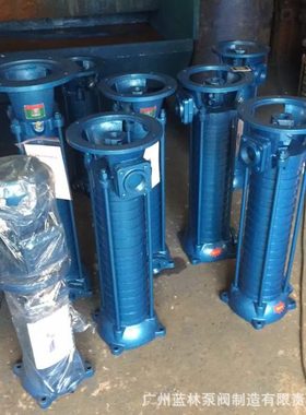 立式多级泵 VMP40-4清水扬程压泵 三相铸铁铜叶多级离心泵