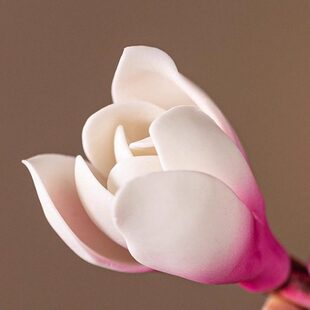 手捏玉兰花香插香座家用香薰炉线香插香器禅意香托香插香炉小摆件