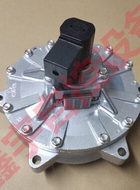 8392900.8171 DN80 3寸淹没式电磁脉冲阀 脉冲阀