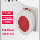 1124工业直插面板插座63A 上曼电气NENMMAN防水暗装 TYP 4孔IP67