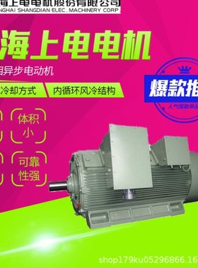 上海上电电机YFJ三相异步电动机为TEFC冷却方式3kw2.2kw厂家直供