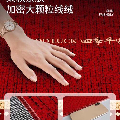 入户新门地垫用中式门口垫滑子红色F99S5H进门脚垫家新款可裁剪防