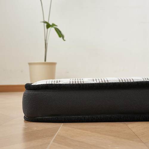 脊厂棕家床垫棕垫硬榈家租房婴儿护硬垫榻榻米天用WID然椰棕垫子