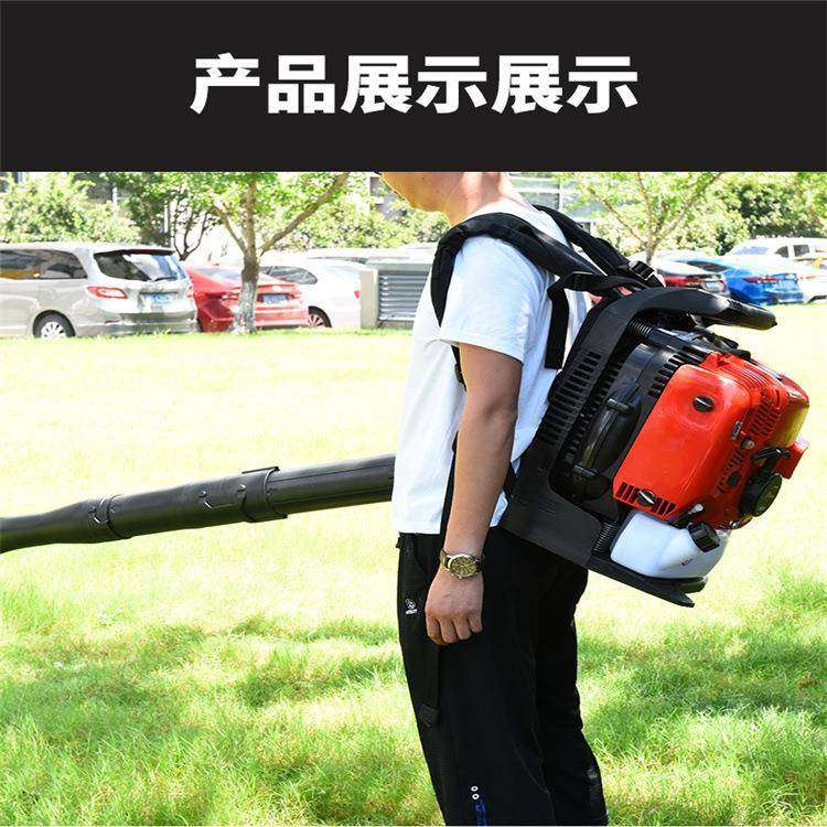 背负雪汽油工程除尘机园林绿RQJ化吹多功能机道路清扫吹风机,农机/农具/农膜,林业机械,淘宝优惠券,粉丝福利购,淘宝优惠卷
