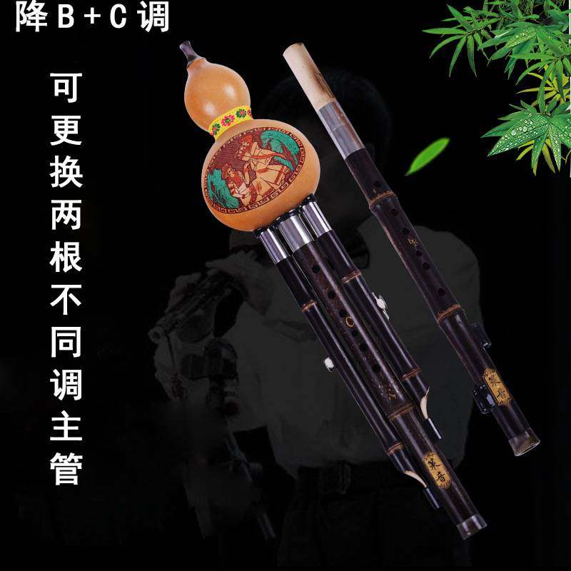 双调葫芦丝紫竹初学演奏F+G降B+C调乐器配盒子挂件