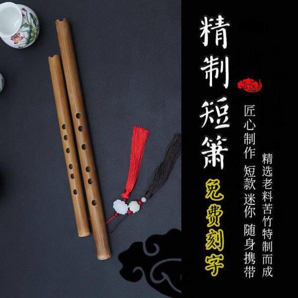洞箫初学零基础入门高级短萧笛迷你便携苦竹古风民族6孔G调潇乐器