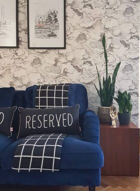 网红轻奢荷兰BN进口墙纸219262 219263乌云朵现货北欧背景墙壁纸