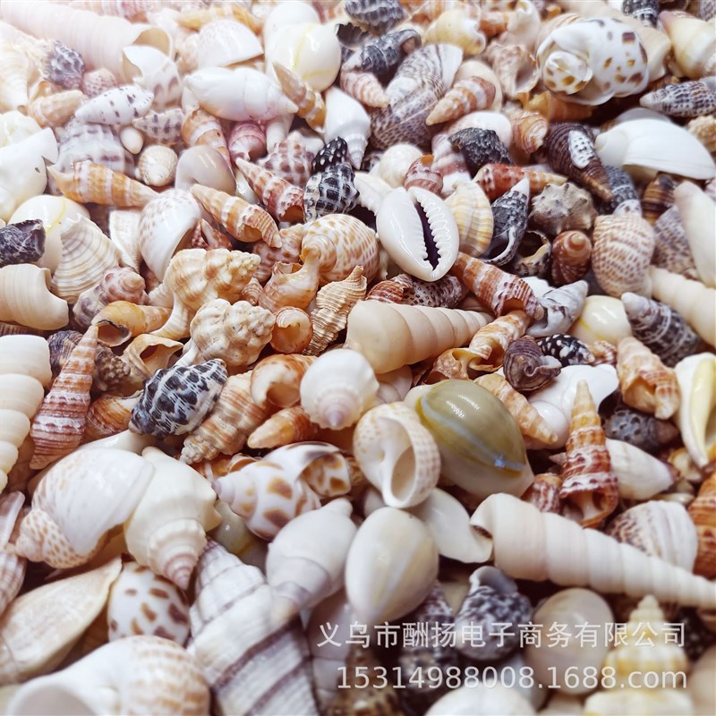 《海底洋》1-5cm粉色系贝壳海螺贝沙混合 鱼缸水族婚庆活动装饰