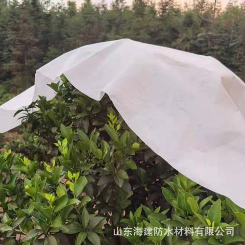 柑橘园防寒布果树温布园艺防保霜果树防52冻布沃柑防茶霜防寒无纺