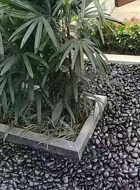 鹅卵石大批量黑色雨石石花小子铺路石大石头白色鹅暖庭院地250513
