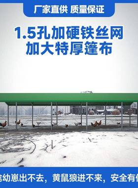 户家用养殖养鸡笼IGH外防雨棚鸡棚窝室外家禽鸡子鸭笼棚