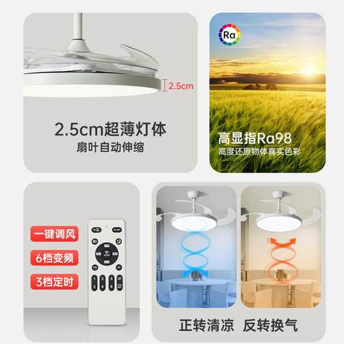 隐风扇2025新款吊扇灯客餐厅卧室房间一厅体餐厅风扇带电风扇形中